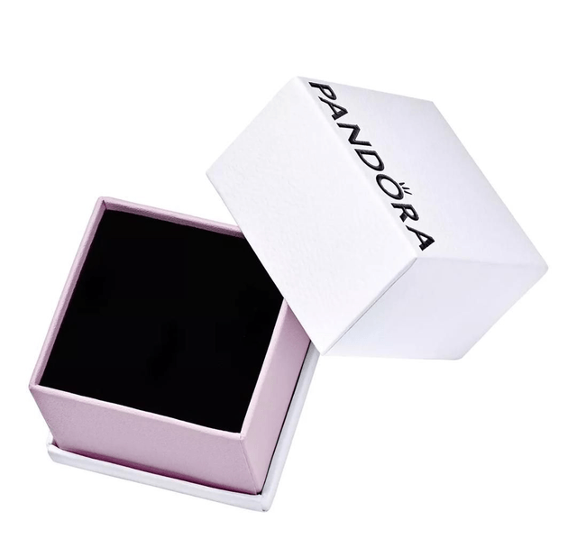 Clous d’oreilles Pandora Signature